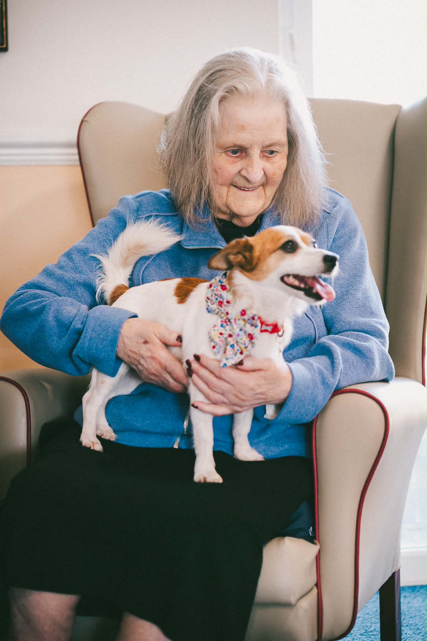 Elderly lady in care home armchair cuddling a therapy Jack Russell