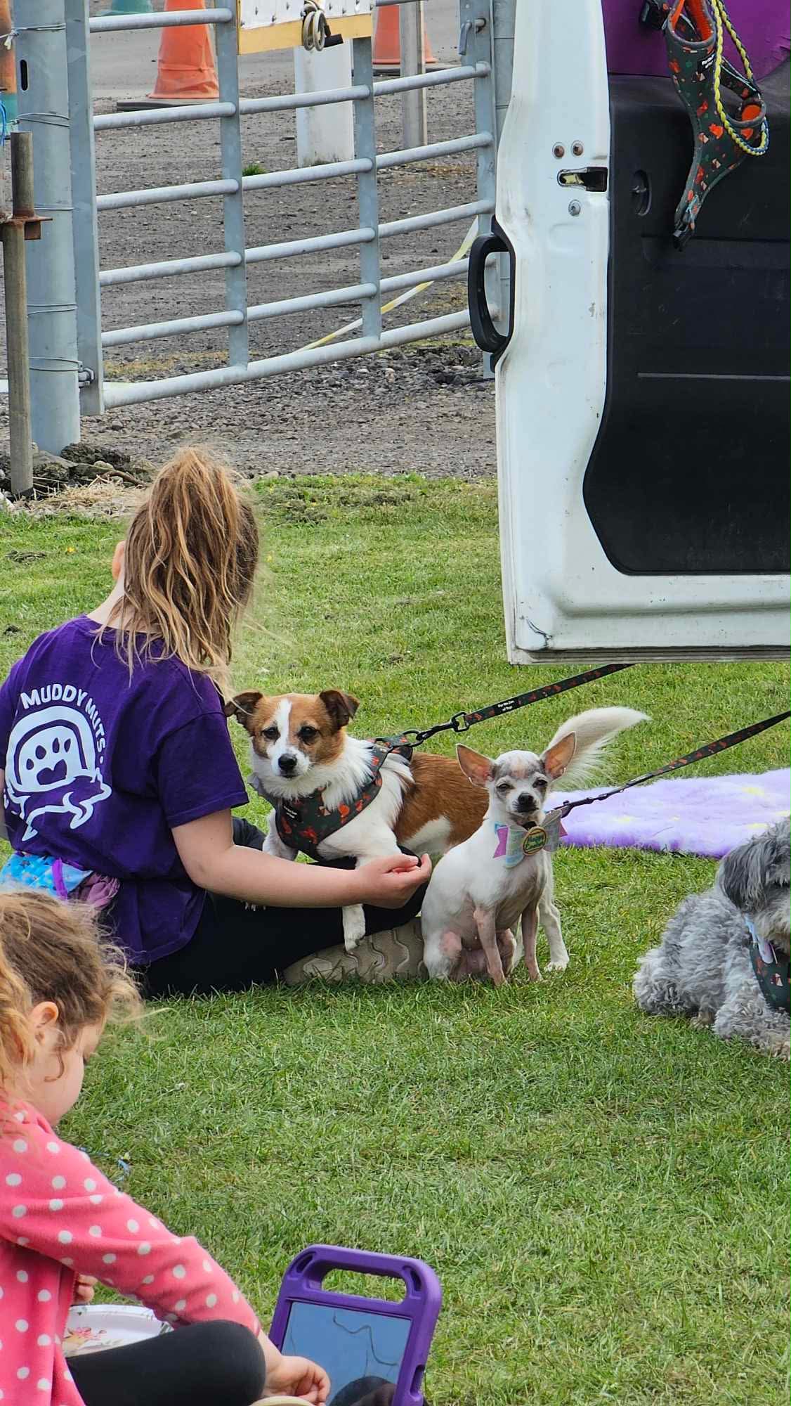 Muddy Mutts team at an event with multiple dogs